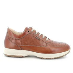 Sneakers|Igi&Co Sneakers In Pelle Da Uomo Cognac